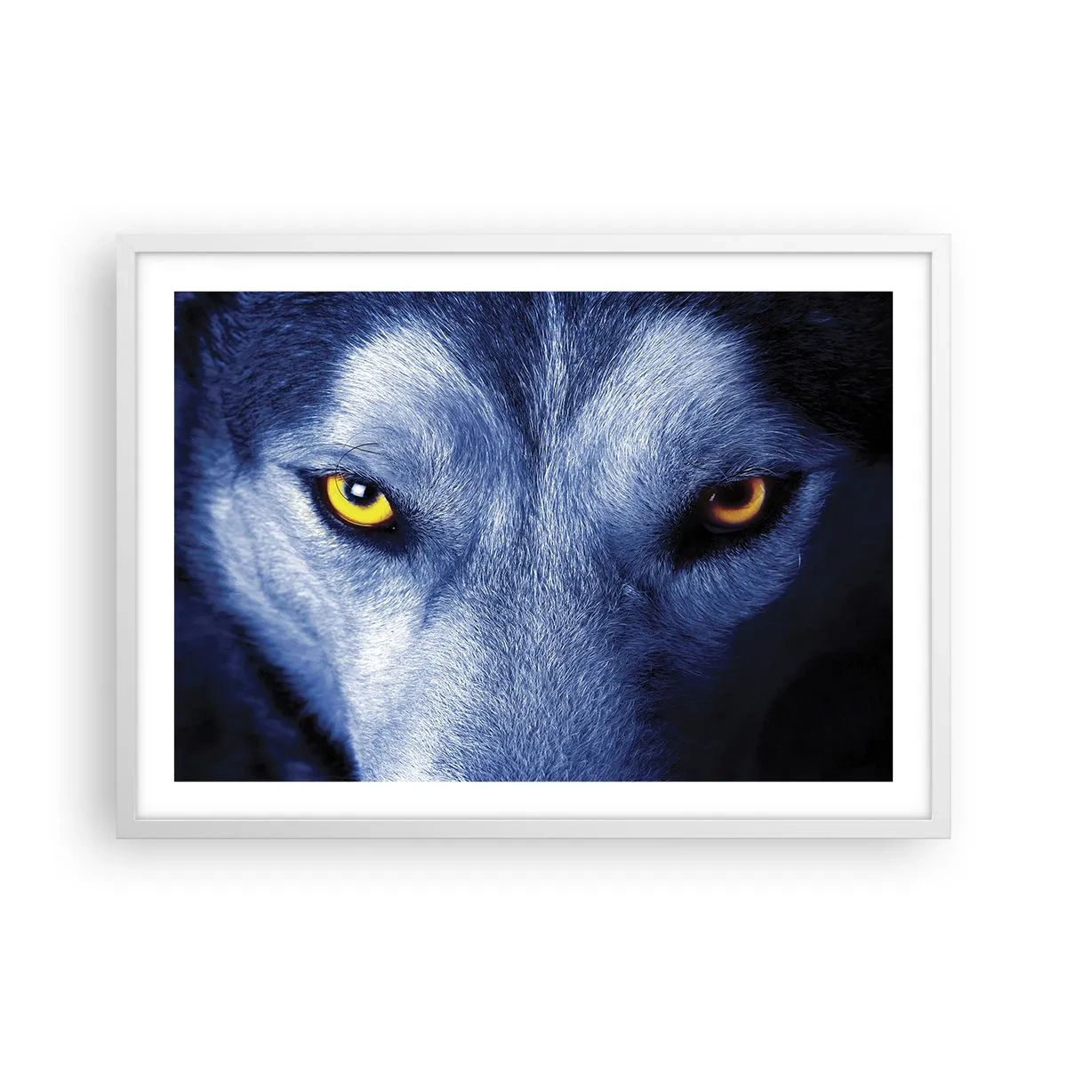 Pôster em moldura branca - Olhar hipnotizante - 70x50 cm