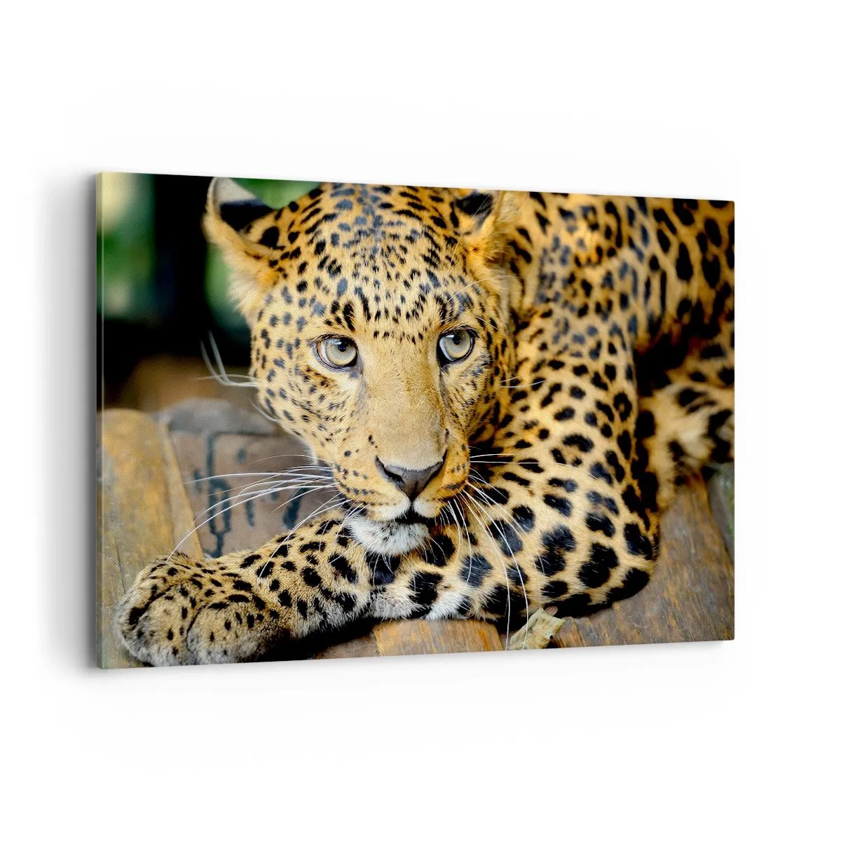 Quadro em tela - Não tenha medo, venha - 120x80 cm