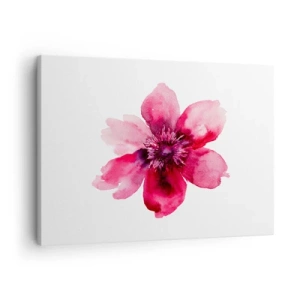 Quadro em tela - Flor rosa em estilo aquarela sobre fundo branco - 70x50cm - Beijo carmim perfumado - Decoração de parede moderna para a sala de estar e quarto ARTTOR