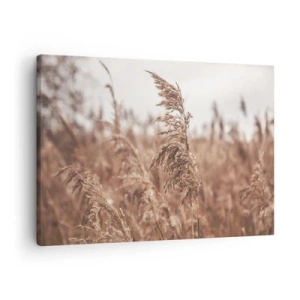 Quadro em tela - Gramíneas douradas contra o pano de fundo da paisagem de outono - 70x50cm - O outono já chegou ao campo - Decoração de parede moderna para a sala de estar e quarto ARTTOR