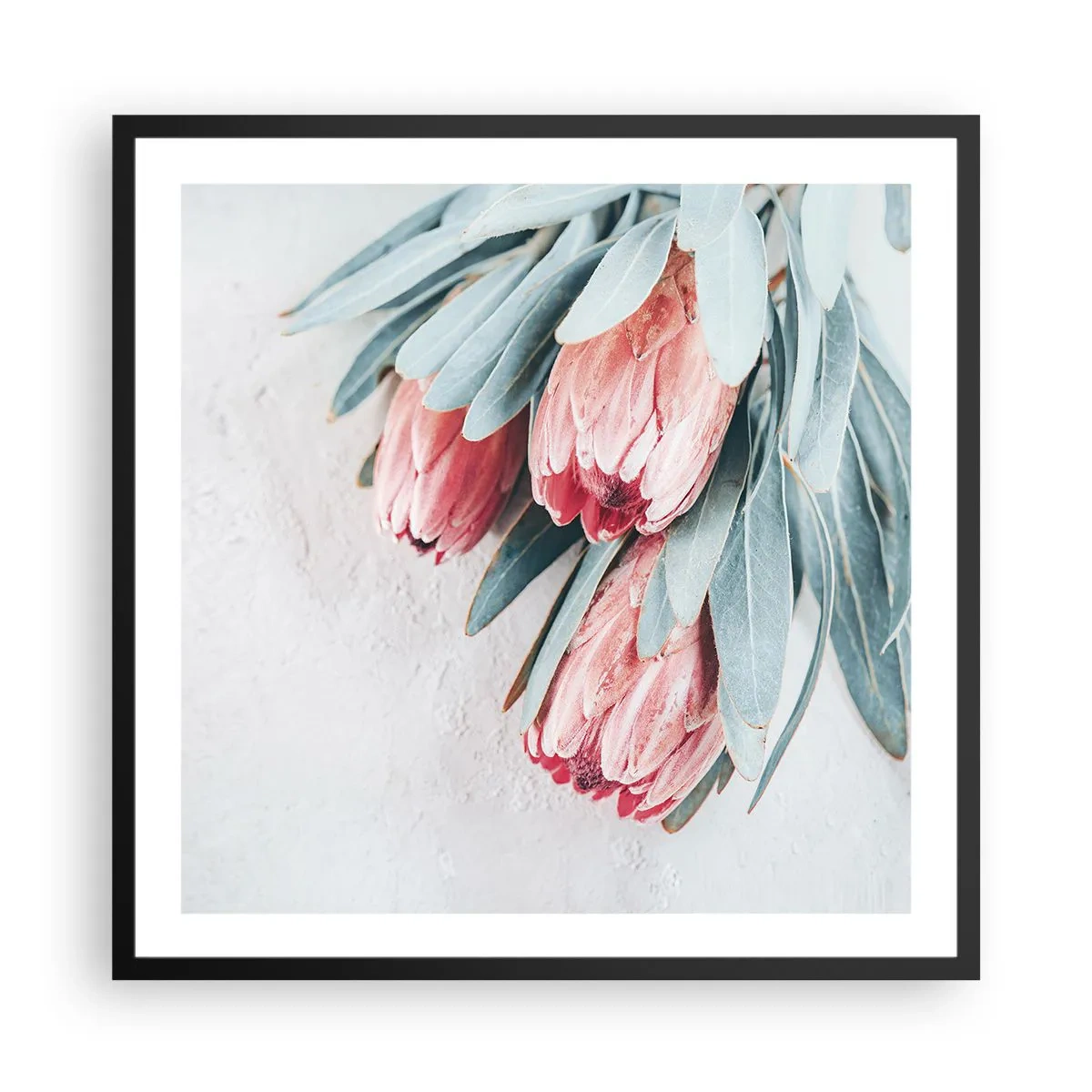 Pôster com moldura preta - Envergonhadas da sua própria beleza - 60x60 cm