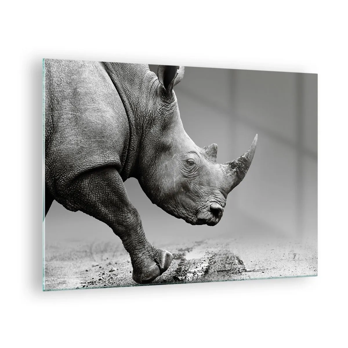 Quadro em vidro - Um rinoceronte em movimento contra um fundo cinza - 70x50cm - Força imparável - Decoração de parede moderna para a sala de estar e quarto ARTTOR
