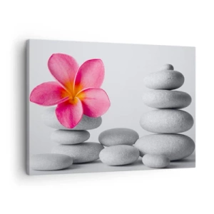 Quadro em tela - Flor rosa em pedras estilo zen - 70x50cm - Pedra sobre pedra, e sobre esta pedra... - Decoração de parede moderna para a sala de estar e quarto ARTTOR