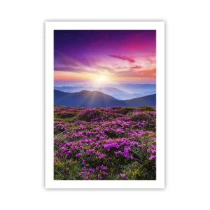 Pôster - Campo cheiroso - 50x70 cm