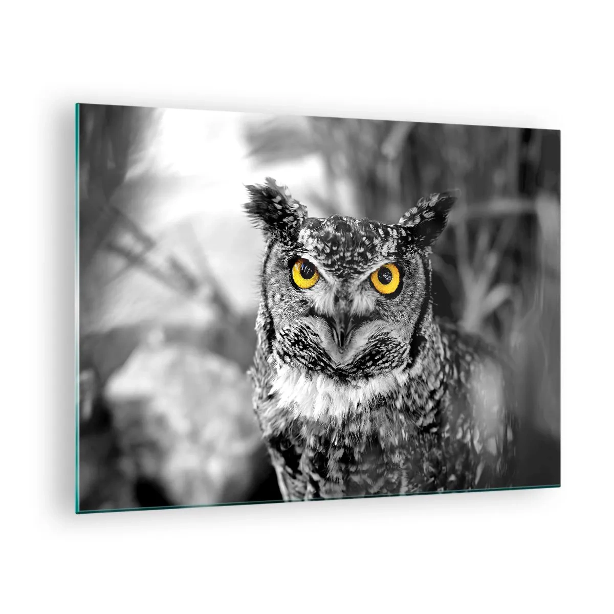 Quadro em vidro - Uma coruja com olhos amarelos em um fundo preto e branco - 70x50cm - Nada pode ser escondido - Decoração de parede moderna para a sala de estar e quarto ARTTOR