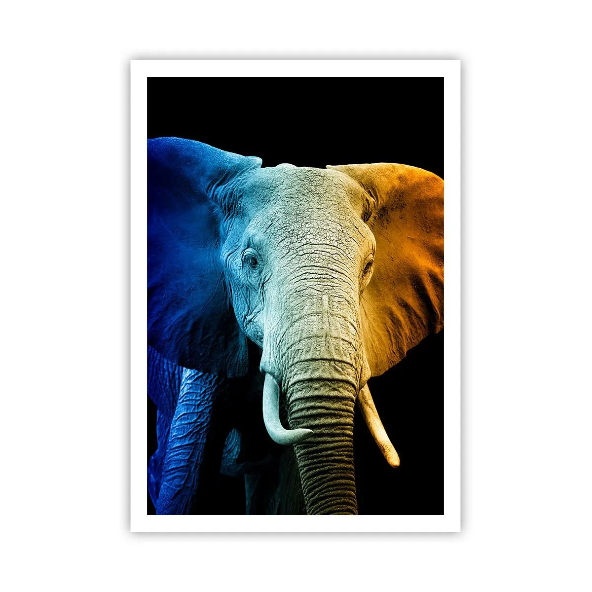 Pôster - Excêntrico, não esquisito - 70x100 cm