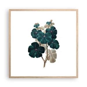 Pôster com moldura de carvalho claro - Do antigo herbário - 60x60 cm