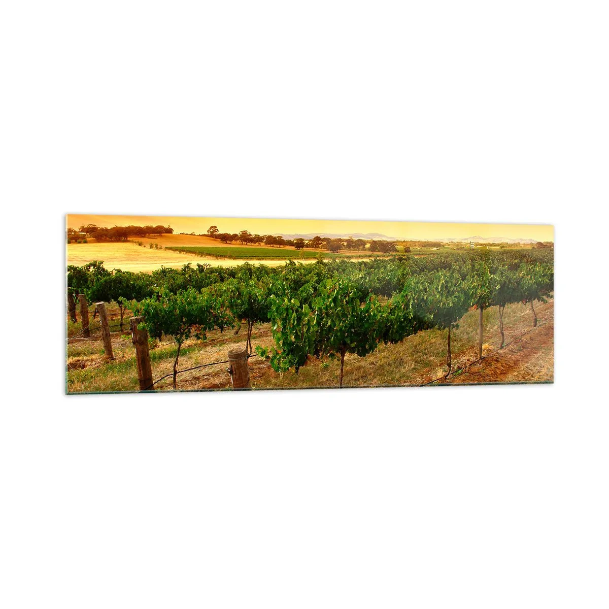 Quadro em vidro - Sede de sol - 160x50 cm