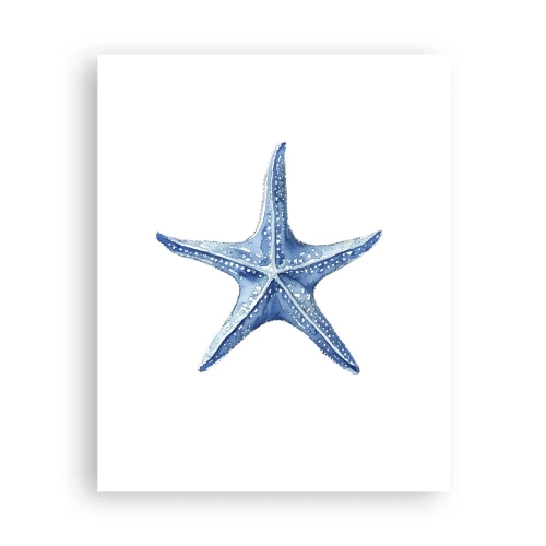 Pôster - Estrela do mar - 40x50 cm