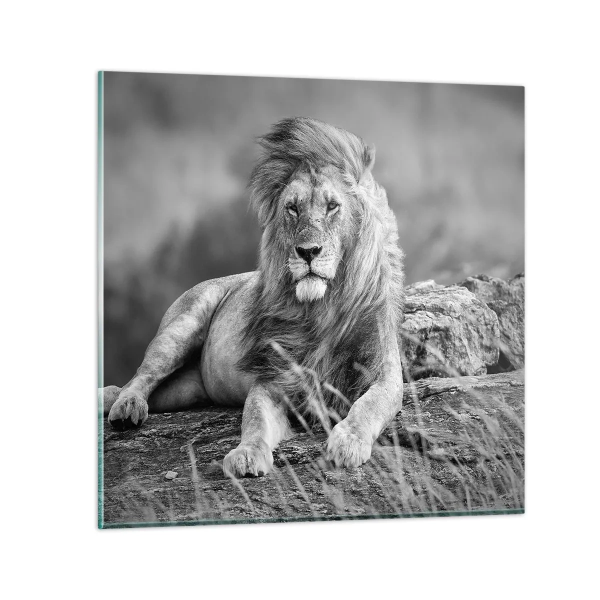 Quadro em vidro - Sesta real - 40x40 cm