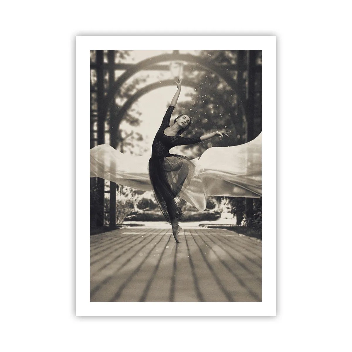 Pôster - A dança do espírito do jardim - 50x70 cm