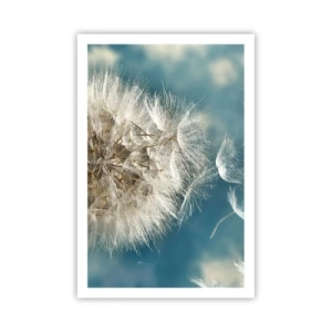 Pôster - Respiração de um anjo - 61x91 cm