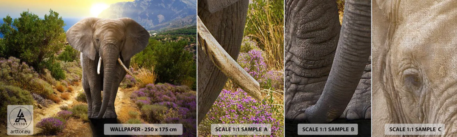 Amostra de papel de parede Premium Canvas - Assim era o Éden - Animais, Elefante, Safári - 100x30 cm