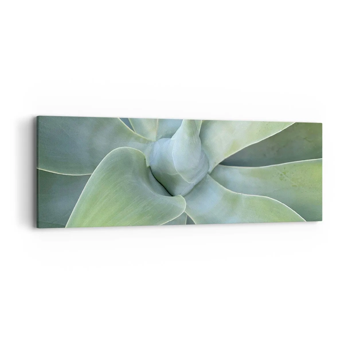 Quadro em tela - O nascimento da vegetação - 90x30 cm