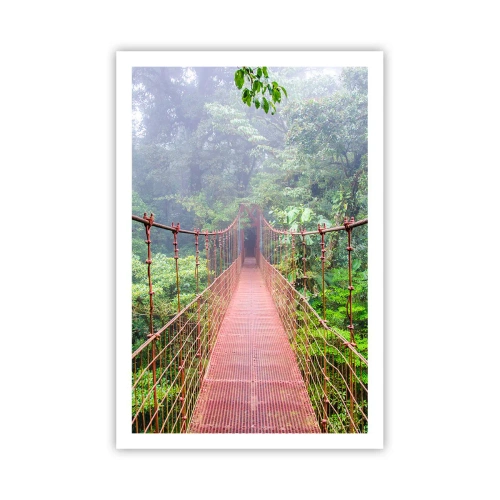 Pôster - Suspenso acima das copas - 61x91 cm