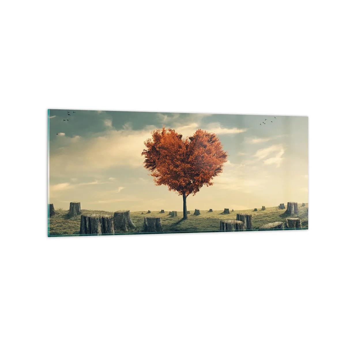 Quadro em vidro - Ainda há esperança - 120x50 cm