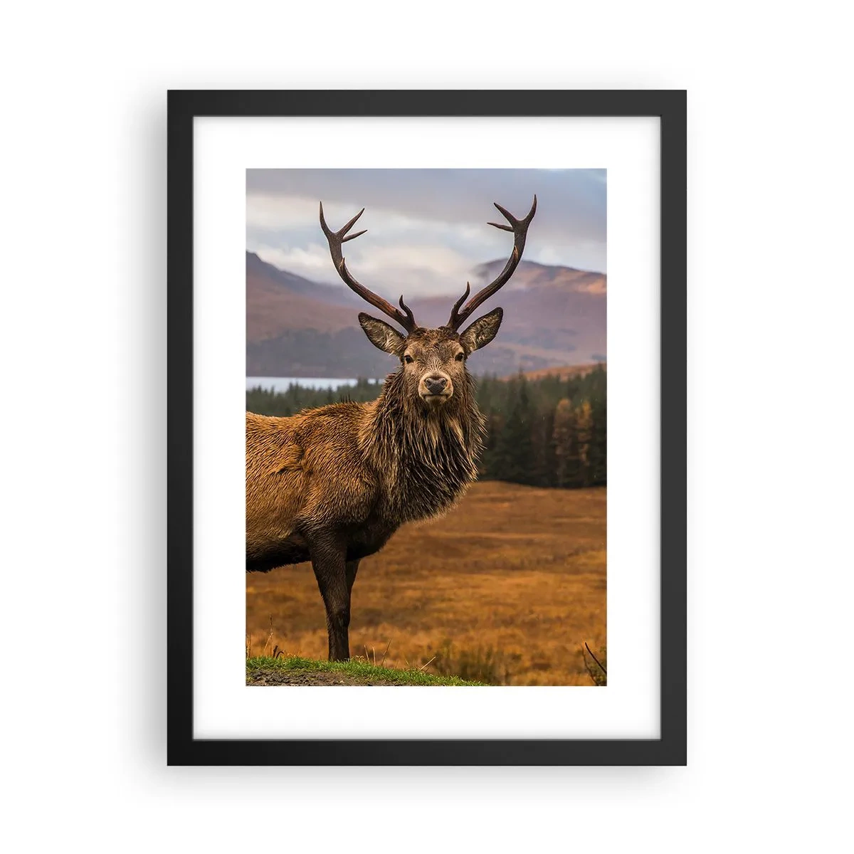Pôster com moldura preta - A majestade da natureza - 30x40 cm