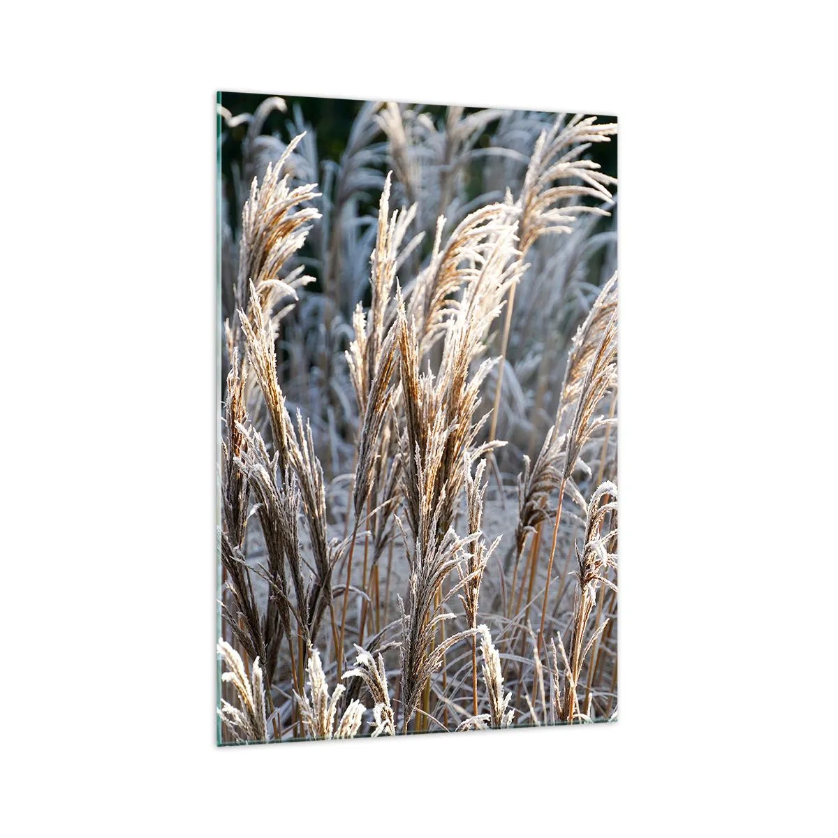 Quadro em vidro - Decorado com a geada - 70x100 cm