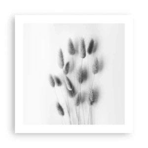 Pôster - Grama fofa - 50x50 cm