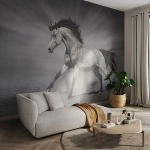 Papel de Parede Autocolante Deluxe Sticker - Nascido para encantar - Animais, Cavalo, Natureza - 300x210 cm