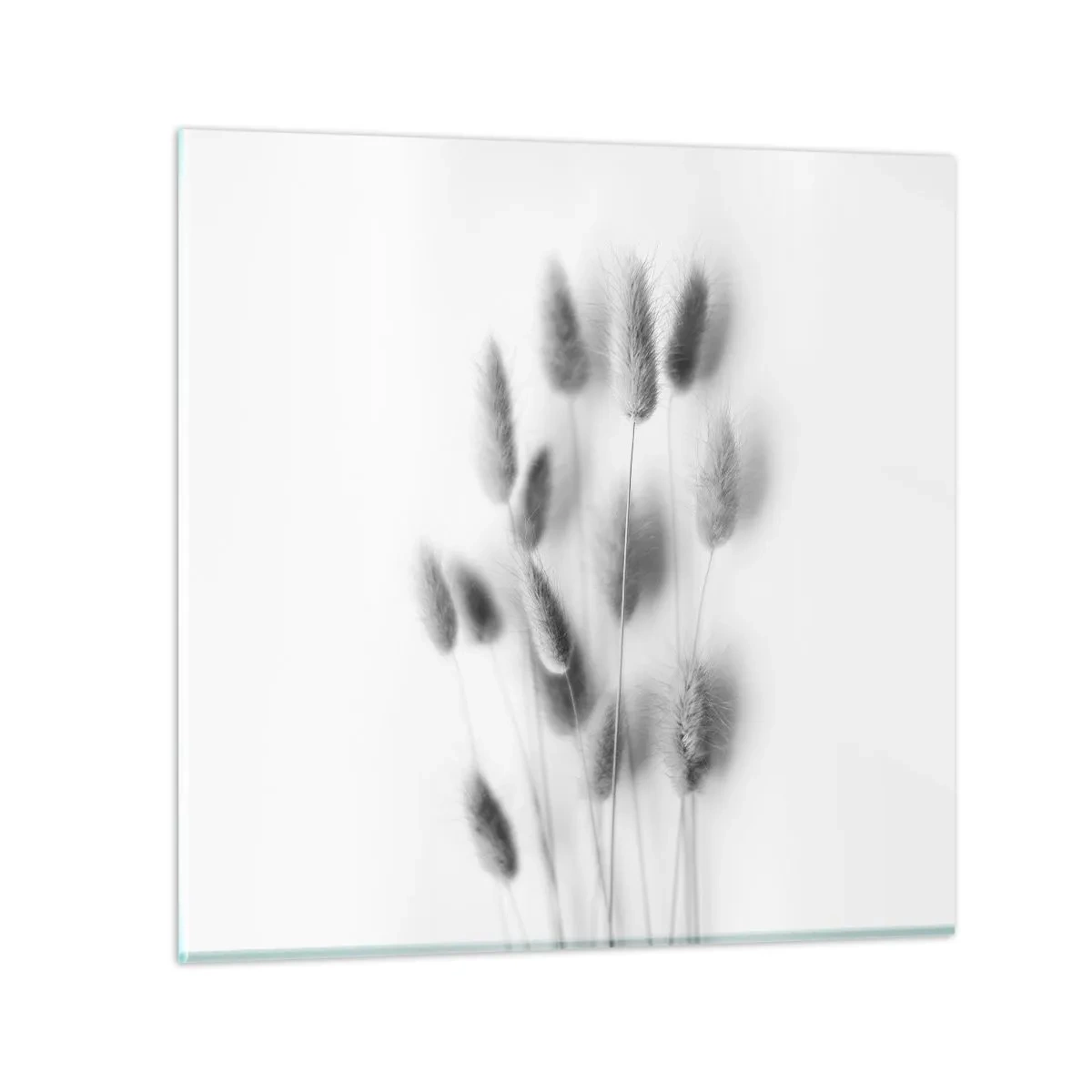 Quadro em vidro - Grama fofa - 60x60 cm