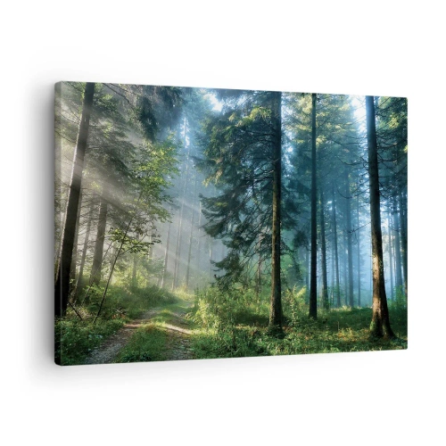 Quadro em tela - Um caminho na floresta iluminado pelos raios do sol da manhã - 70x50cm - Radiante de manhã - Decoração de parede moderna para a sala de estar e quarto ARTTOR