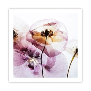 Pôster - A transparência das flores - 60x60 cm