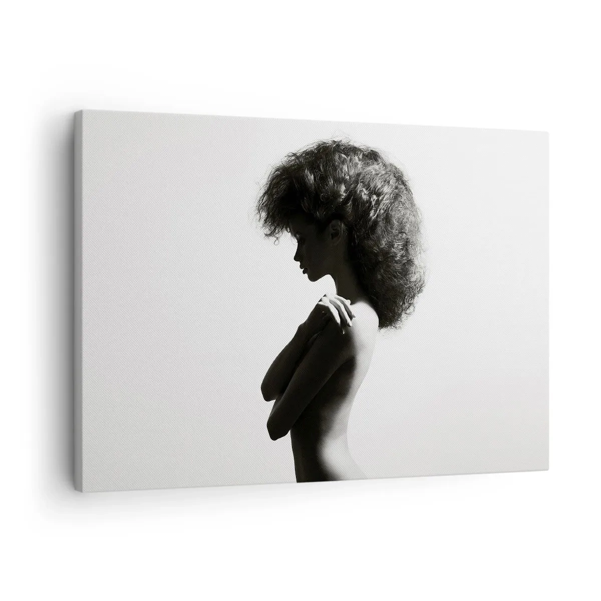 Quadro em tela - Uma silhueta sutil de uma mulher em tons de preto e branco sobre um fundo claro - 70x50cm - Como uma flor em um caule fino - Decoração de parede moderna para a sala de estar e quarto ARTTOR