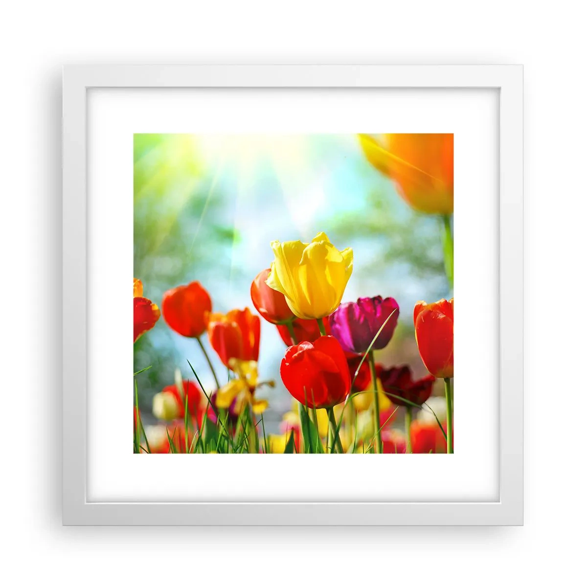 Pôster em moldura branca - Todas as cores do sol - 30x30 cm