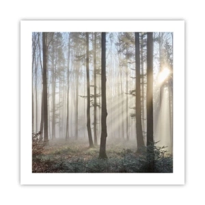 Pôster - O nevoeiro também acordou - 50x50 cm