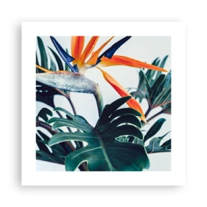 Pôster - Arbusto de passarinho - 40x40 cm