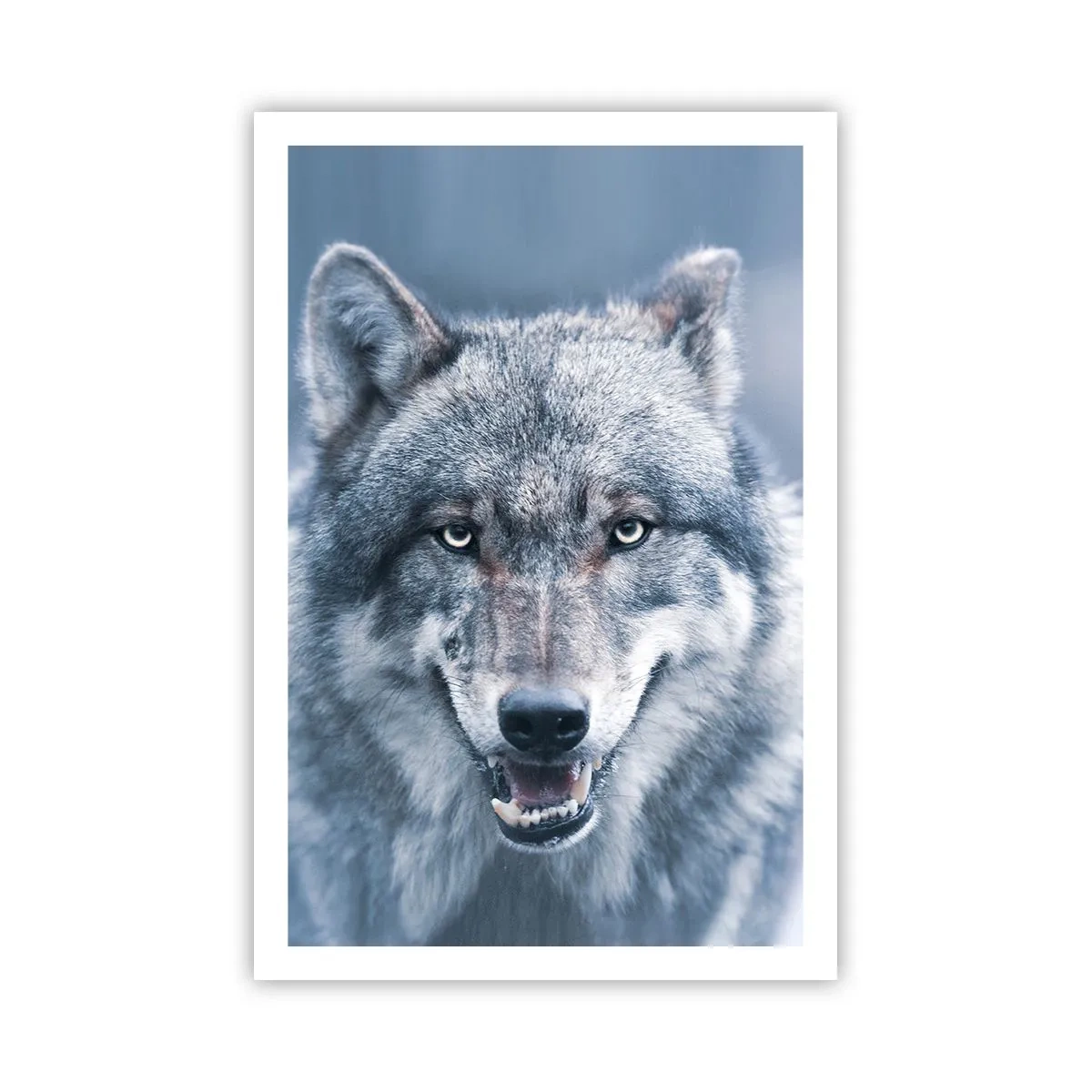 Pôster - Vai aceitar o desafio? - 61x91 cm