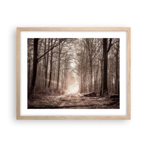 Pôster com moldura de carvalho claro - Catedral na Floresta - 50x40 cm