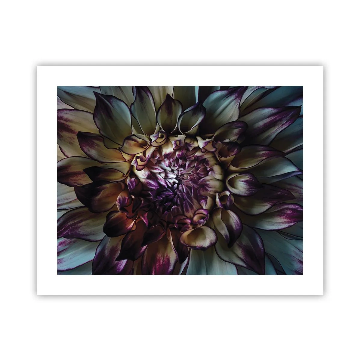 Pôster - O florescimento da juventude - 50x40 cm