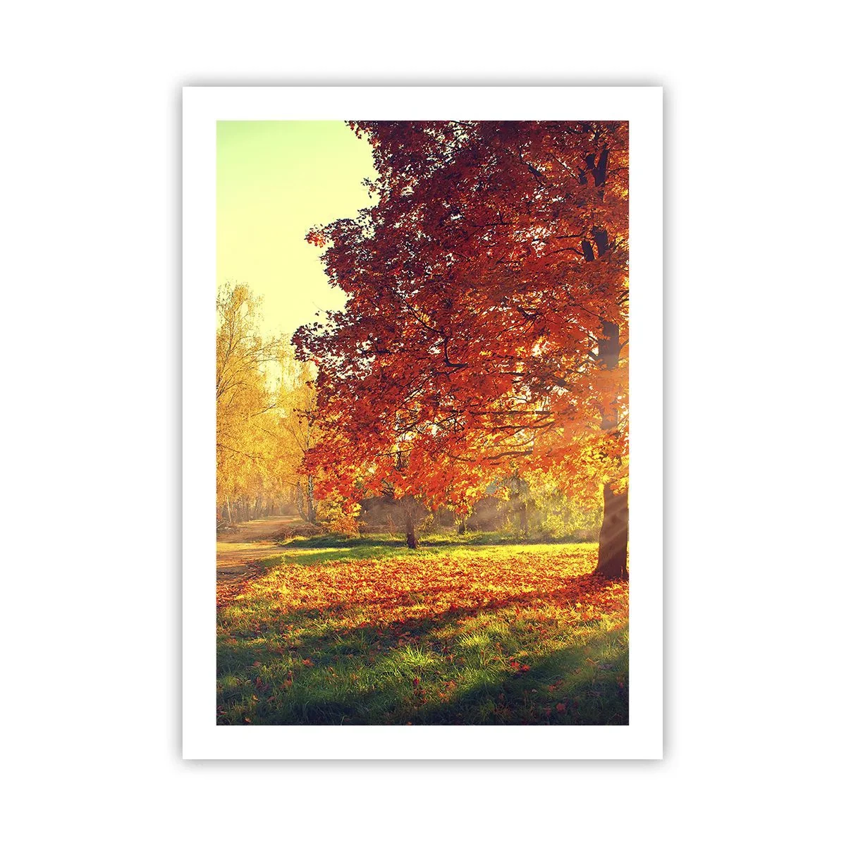 Pôster - O vermelho é lindo - 50x70 cm