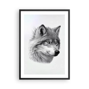 Pôster com moldura preta - Um retrato realista de um lobo em tons de cinza. - 50x70cm - Alfa – sem dúvida - Decoração de parede moderna para a sala de estar e quarto ARTTOR