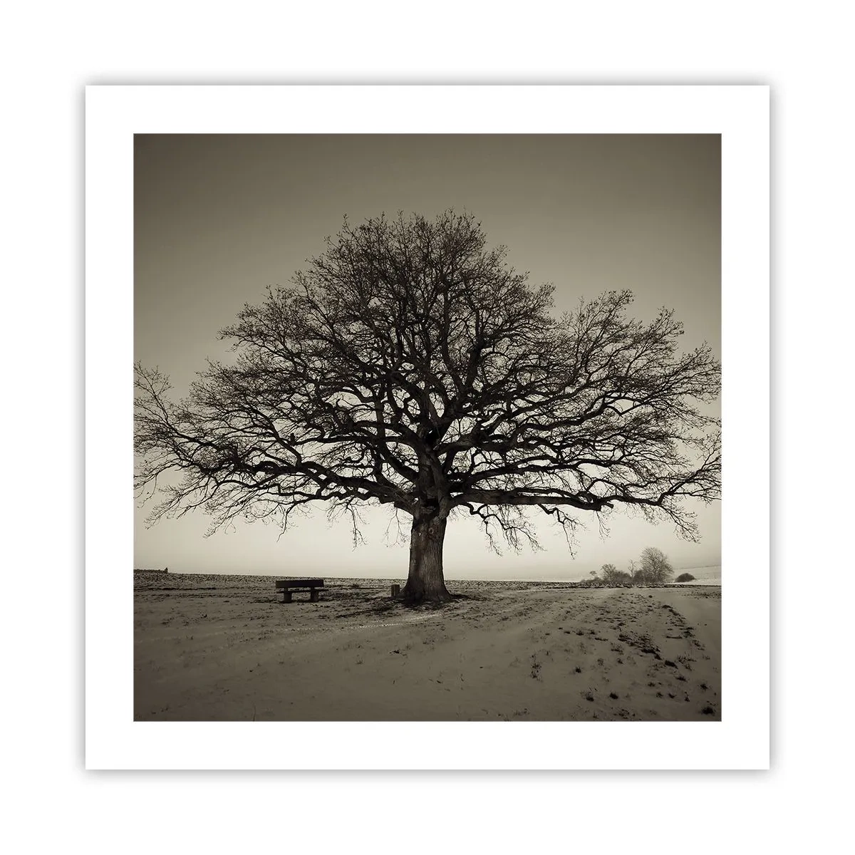 Pôster - Daqui para a eternidade - 50x50 cm