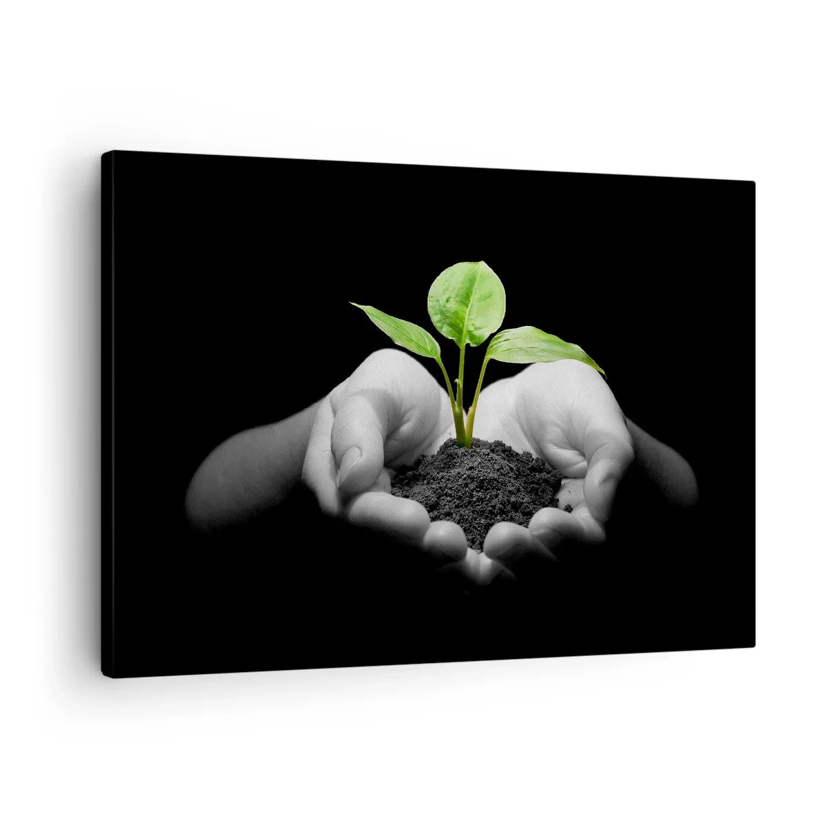 Quadro em tela - Mãos segurando uma planta verde em um fundo preto - 70x50cm - Eu amo a natureza, eu a protejo - Decoração de parede moderna para a sala de estar e quarto ARTTOR