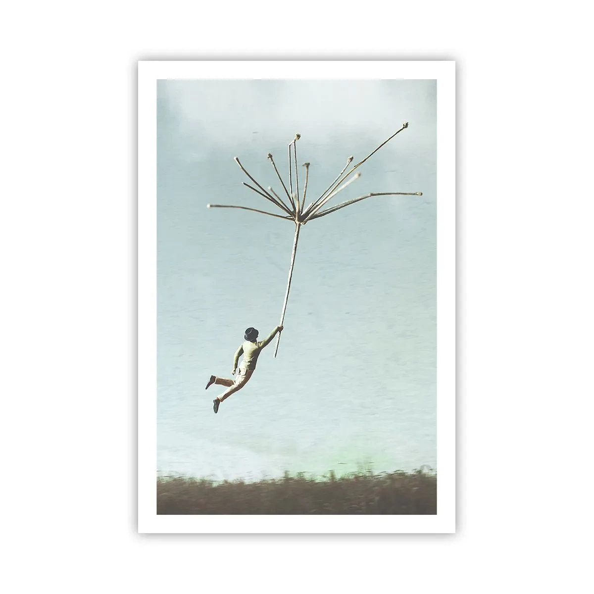 Pôster - Papagaios, balões, vento - 61x91 cm