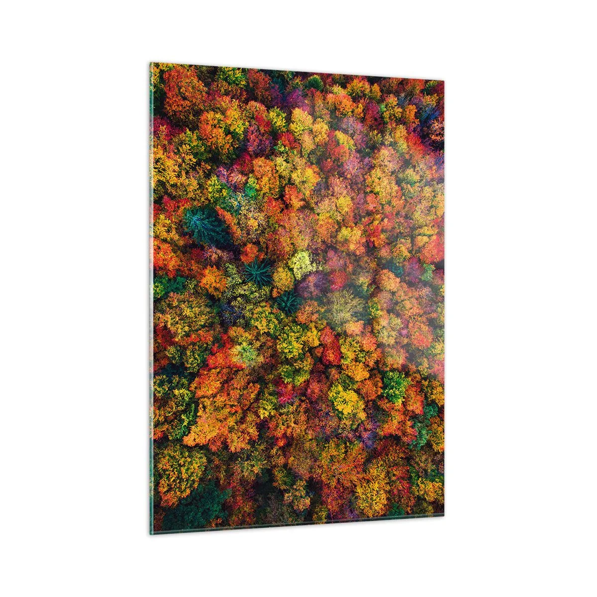 Quadro em vidro - Bouquet de árvores de Outono - 50x70 cm