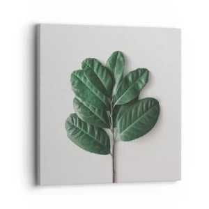 Quadro em tela - Desenho da própria natureza - 30x30 cm