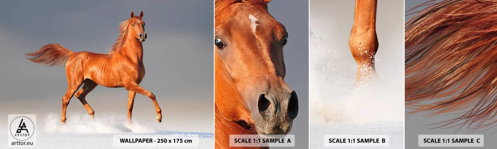 Amostra de papel de parede autocolante Deluxe Sticker - Graça Dançante - Animais, Cavalo, Natureza - 100x30 cm