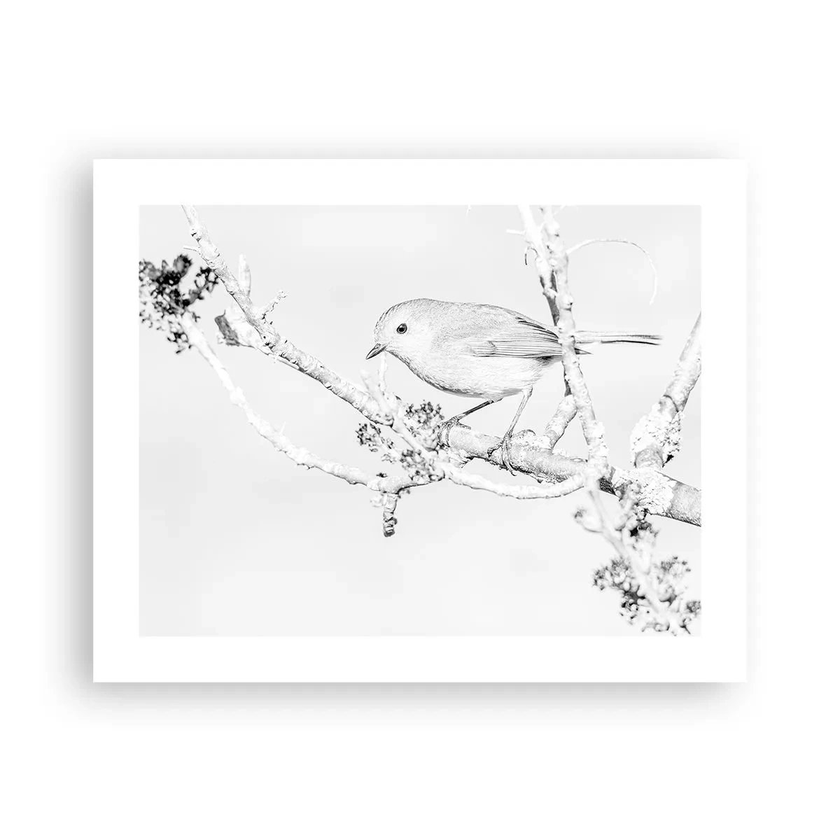 Pôster - Manhã de inverno - 50x40 cm