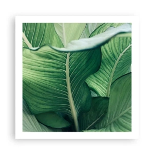 Pôster - Vida intensamente verde - 60x60 cm