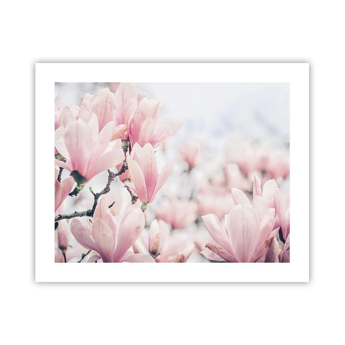 Pôster - O ideal da subtileza - 50x40 cm