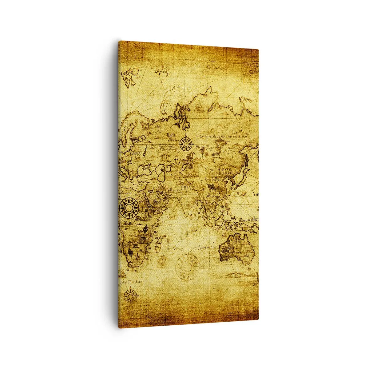 Quadro em tela - Mundo estranho - 55x100 cm