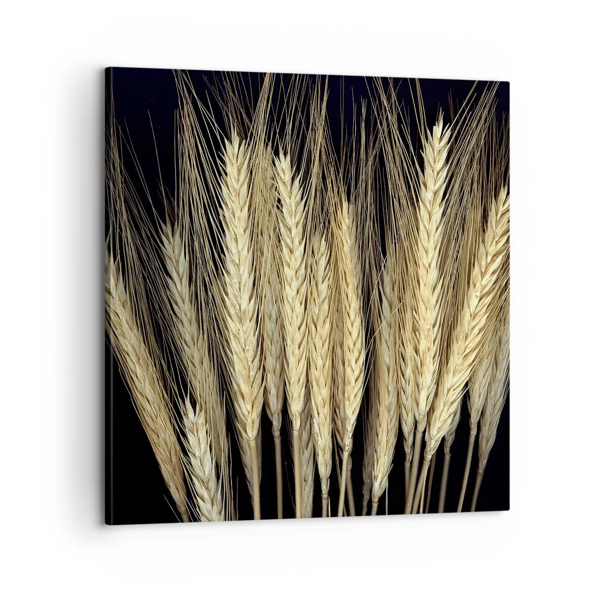 Quadro em tela - Magia rústica - 60x60 cm