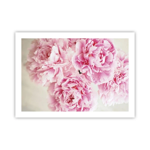 Pôster - Em esplendor rosa - 70x50 cm