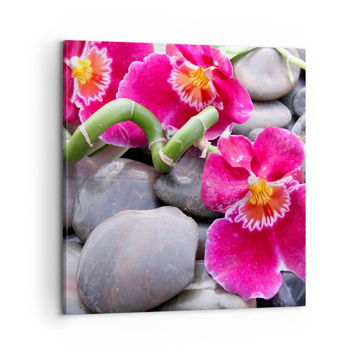 Quadro em tela - Frio e calor - 60x60 cm