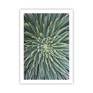 Pôster - Nasce uma estrela - 50x70 cm